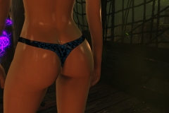 Fallout4 2017-01-24 20-35-39-878
