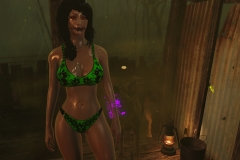 Fallout4 2017-01-24 20-36-01-122