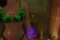Fallout4 2017-01-24 20-36-03-625