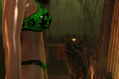 Fallout4 2017-01-24 20-36-14-823