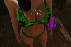 Fallout4 2017-01-24 20-36-25-496