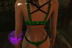 Fallout4 2017-01-24 20-36-32-676