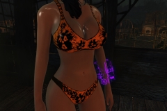 Fallout4 2017-01-24 20-37-09-522