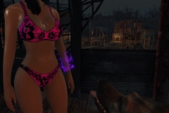 Fallout4 2017-01-24 20-37-21-596