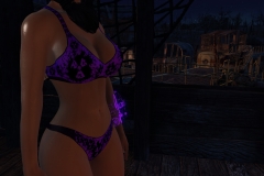 Fallout4 2017-01-24 20-38-01-442