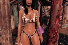 Fallout4 2017-01-24 20-39-03-801