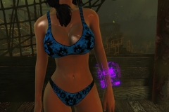 Fallout4 2017-01-24 20-41-59-607