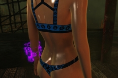 Fallout4 2017-01-24 20-42-16-136