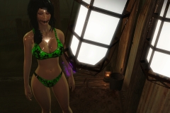 Fallout4 2017-01-24 20-42-32-354