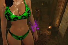 Fallout4 2017-01-24 20-42-36-623