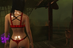 Fallout4 2017-01-24 20-44-10-671