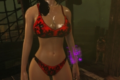 Fallout4 2017-01-24 20-44-25-546