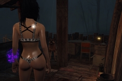 Fallout4 2017-01-24 20-45-21-740