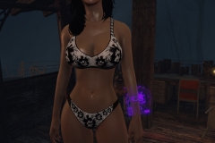 Fallout4 2017-01-24 20-45-27-227