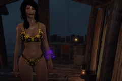 Fallout4 2017-01-24 20-45-37-835