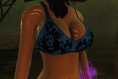 Fallout4 2017-01-24 20-48-03-694