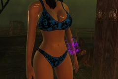 Fallout4 2017-01-24 20-48-07-069