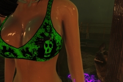 Fallout4 2017-01-24 20-48-29-285