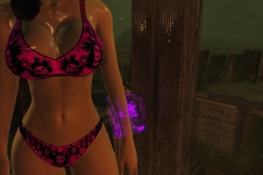 Fallout4 2017-01-24 20-49-10-397