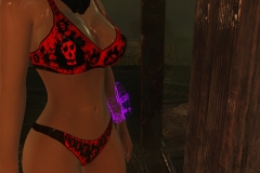 Fallout4 2017-01-24 20-50-27-047