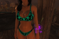 Fallout4 2017-01-24 20-50-56-847