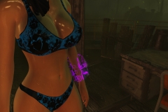 Fallout4 2017-01-24 20-53-32-062