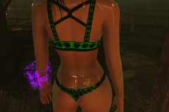 Fallout4 2017-01-24 20-54-04-962