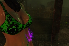 Fallout4 2017-01-24 20-54-15-326