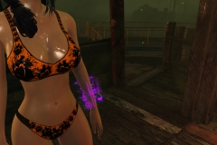 Fallout4 2017-01-24 20-54-56-710
