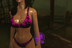 Fallout4 2017-01-24 20-55-19-529