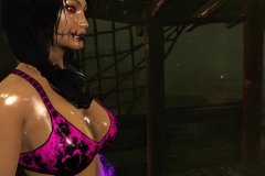 Fallout4 2017-01-24 20-55-28-065