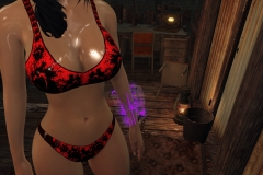 Fallout4 2017-01-24 20-56-11-833