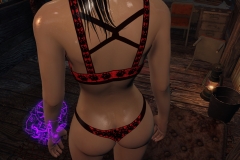 Fallout4 2017-01-24 20-56-25-037
