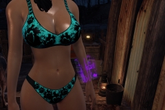 Fallout4 2017-01-24 20-56-47-812