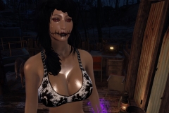 Fallout4 2017-01-24 20-57-00-176
