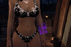Fallout4 2017-01-24 20-57-09-732