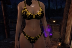 Fallout4 2017-01-24 20-57-22-172