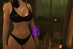 Fallout4 2017-01-24 20-59-29-077