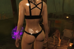 Fallout4 2017-01-24 20-59-33-132