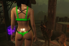 Fallout4 2017-01-24 20-59-44-448