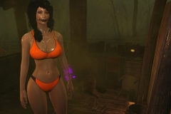 Fallout4 2017-01-24 21-00-04-728