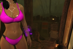 Fallout4 2017-01-24 21-00-17-857