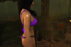 Fallout4 2017-01-24 21-00-36-657