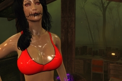 Fallout4 2017-01-24 21-01-00-205