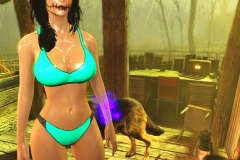 Fallout4 2017-01-24 21-01-13-610