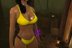 Fallout4 2017-01-24 21-01-34-672