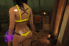 Fallout4 2017-01-24 21-01-47-459