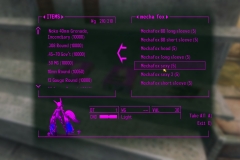 FalloutNV-2014-04-28-05-42-58-329