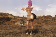 FalloutNV-2014-07-05-22-19-21-056