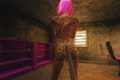 FalloutNV-2014-07-19-04-09-33-426